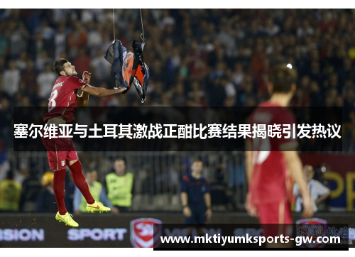塞尔维亚与土耳其激战正酣比赛结果揭晓引发热议
